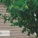 Сайдинг Ю-Пласт TIMBERBLOCK Пихта (Тимберблок) Cахалинская купить в Луганске