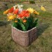 Цветник КАНЬОН купить в Луганске