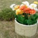 Цветник КАНЬОН купить в Луганске